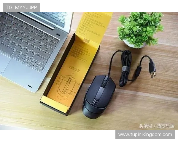 闪电 21 点：闪电反应训练指南，助你在21点游戏中快速做出决策